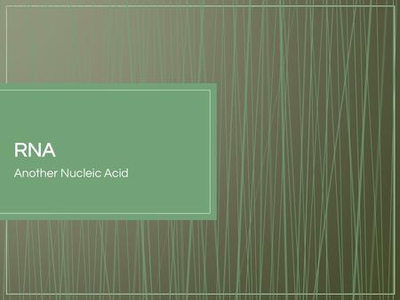 RNA Another Nucleic Acid.