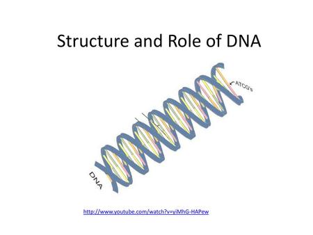 Structure and Role of DNA