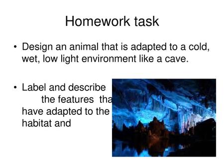 Homework task Design an animal that is adapted to a cold, wet, low light environment like a cave. Label and describe					 the features that.