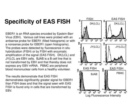 Specificity of EAS FISH