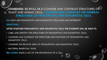 Standard: SC.912.L.14.3 Compare and contrast structures of plant and animal cells. Compare and contrast the general structures of prokaryotic and eukaryotic.