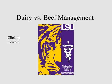 Dairy vs. Beef Management