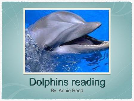 Dolphins reading By: Annie Reed.