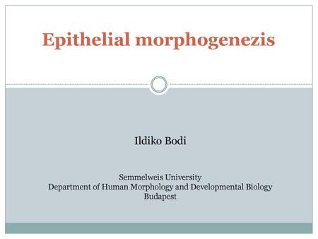 Epithelial morphogenezis