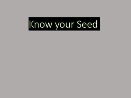 Know your Seed.