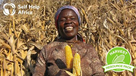 We’re celebrating Harvest this year with a UK charity, Self Help Africa. Self Help Africa is a charity which is working to support people in rural Africa.
