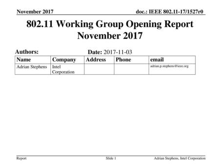 Working Group Opening Report November 2017