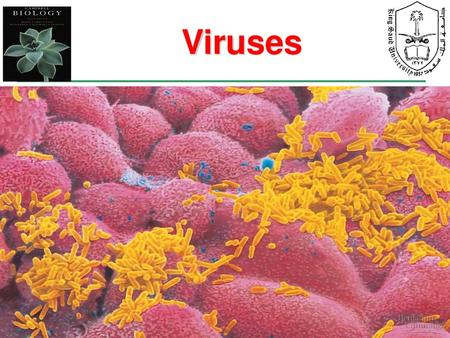 Viruses.