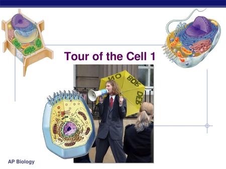 Tour of the Cell 1.