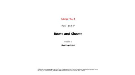 Roots and Shoots Science - Year 3 Plants – Block 3P Session 6