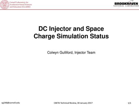 DC Injector and Space Charge Simulation Status