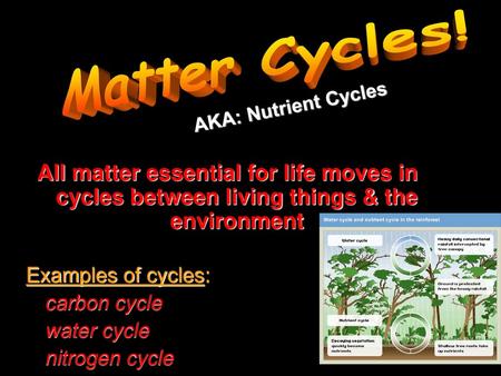 Matter Cycles! AKA: Nutrient Cycles