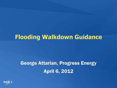 Flooding Walkdown Guidance