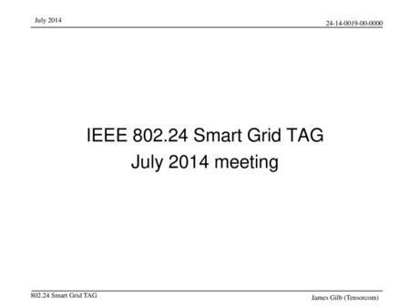 IEEE Smart Grid TAG July 2014 meeting