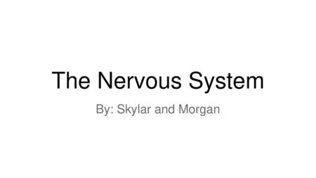 The Nervous System By: Skylar and Morgan.