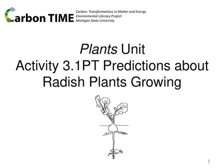 Plants Unit Activity 3.1PT Predictions about Radish Plants Growing