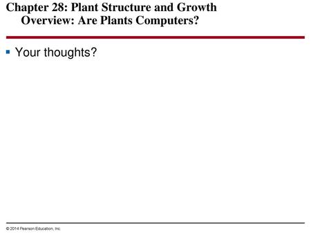 Chapter 28: Plant Structure and Growth Overview: Are Plants Computers?