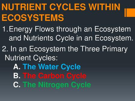 NUTRIENT CYCLES WITHIN ECOSYSTEMS