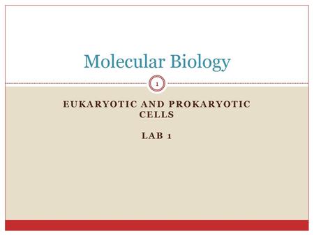 Eukaryotic and prokaryotic cells lab 1