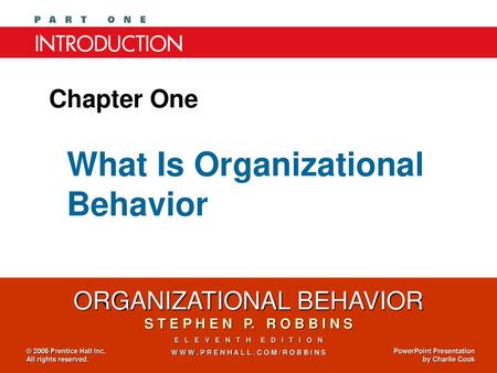 individual and group behaviour in organisation ppt