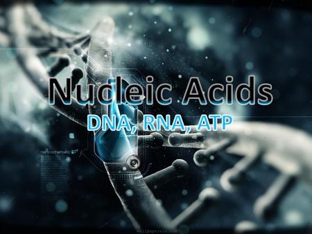 Nucleic Acids DNA, RNA, ATP.