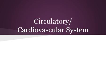 Circulatory/ Cardiovascular System