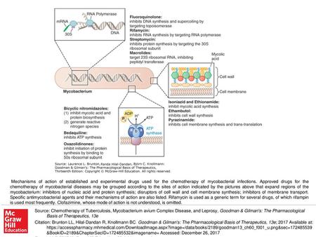 Mechanisms of action of established and experimental drugs used for the chemotherapy of mycobacterial infections. Approved drugs for the chemotherapy of.