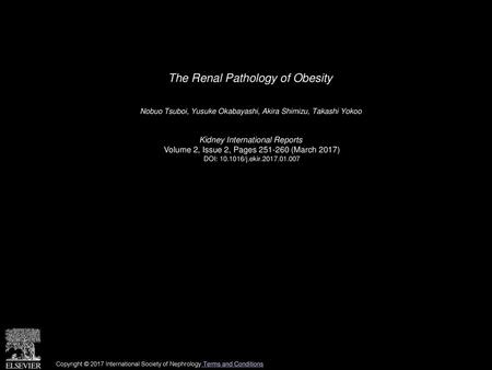 The Renal Pathology of Obesity
