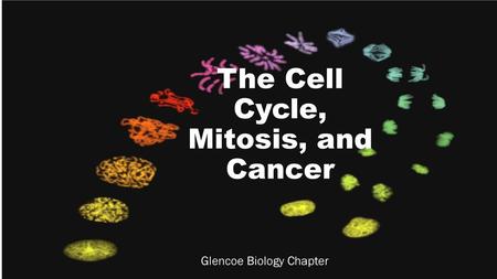 The Cell Cycle, Mitosis, and Cancer