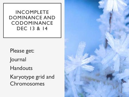 Incomplete dominance and codominance Dec 13 & 14