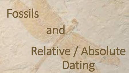 Relative / Absolute Dating