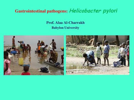Gastrointestinal pathogens: Helicobacter pylori