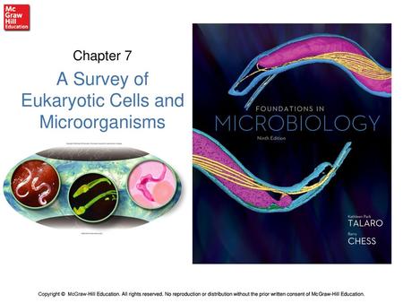 Chapter 7 A Survey of Eukaryotic Cells and Microorganisms