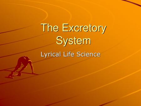 The Excretory System Lyrical Life Science.