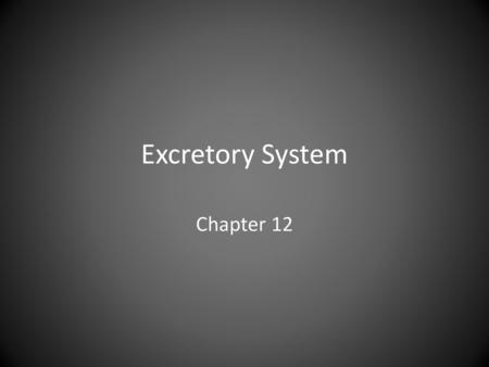 Excretory System Chapter 12.