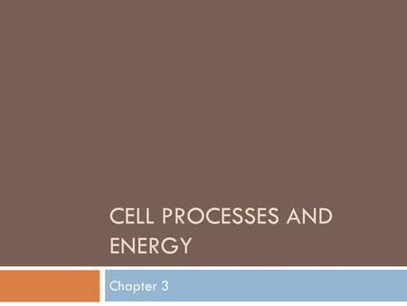 Cell Processes and Energy