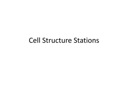 Cell Structure Stations