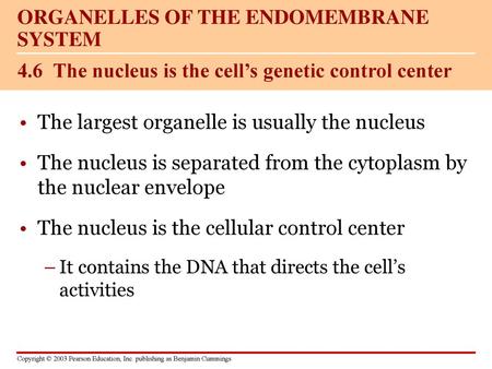 4.6 The nucleus is the cell’s genetic control center