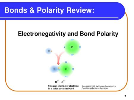 Bonds & Polarity Review: