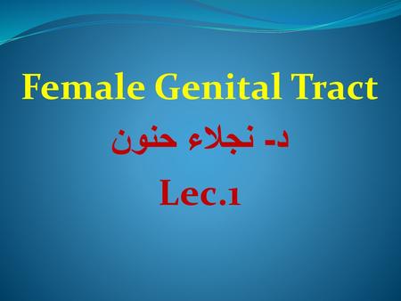 Female Genital Tract د- نجلاء حنون Lec.1