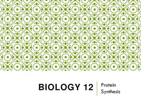 BIOLOGY 12 Protein Synthesis.