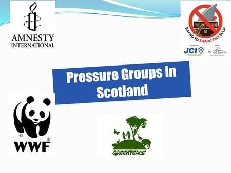 Pressure Groups in Scotland