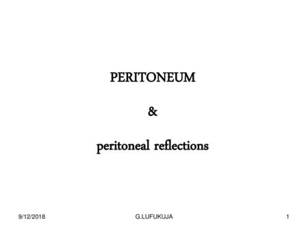 peritoneal reflections