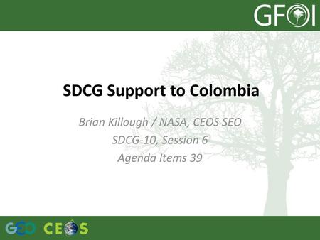 SDCG Support to Colombia