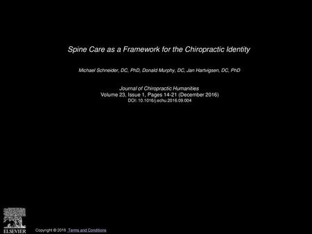 Spine Care as a Framework for the Chiropractic Identity