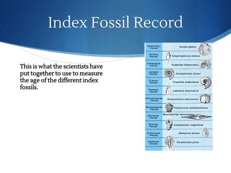 Index Fossil Record This is what the scientists have put together to use to measure the age of the different index fossils.