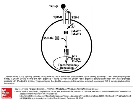 Overview of the TGF-β signaling pathway