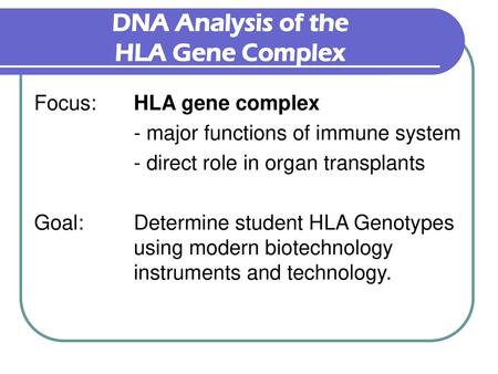 DNA Analysis of the HLA Gene Complex