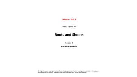 Roots and Shoots Science - Year 3 Plants – Block 3P Session 2