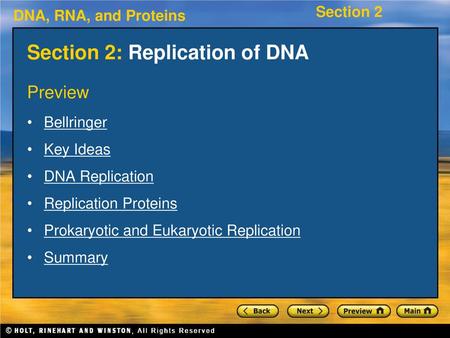 Holt biology dna rna and proteins worksheet answers